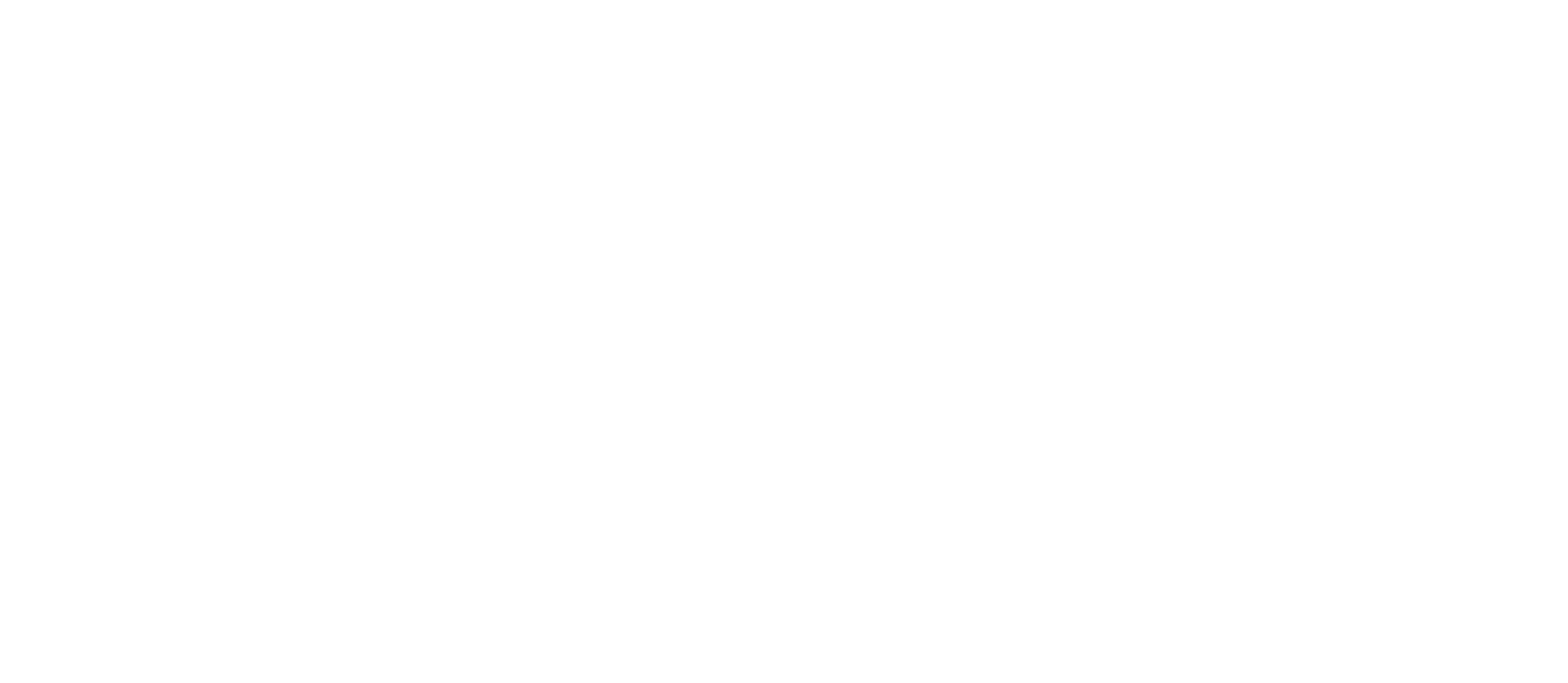The Brightmoon Institute Logo